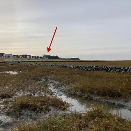 Duhner Seedüne 6 * Cuxhaven