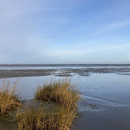 Duhner Seedüne 6 Ferienhaus