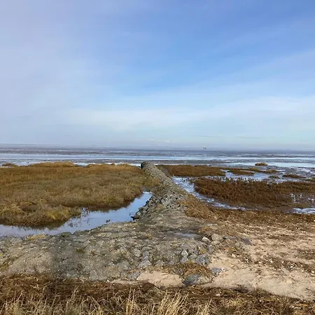 Duhner Seeduene 6 كوكسهافن